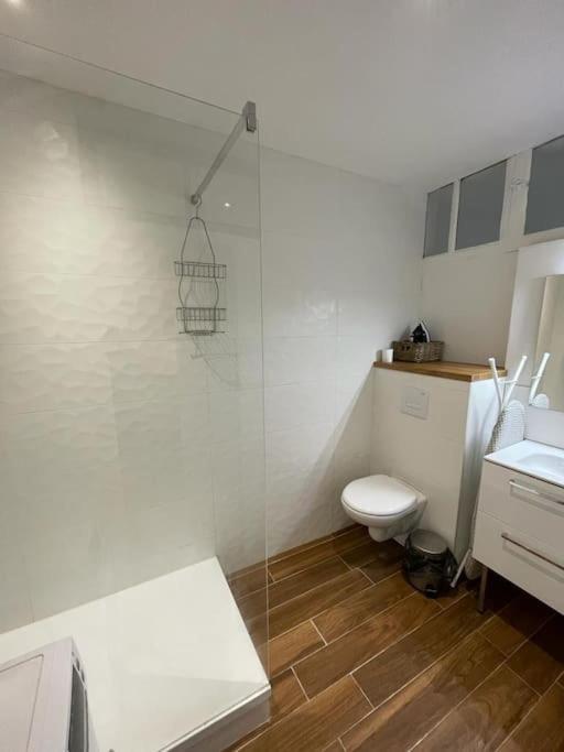 Appartement Cosy A Deux Pas De La Gare Laval (Mayenne)